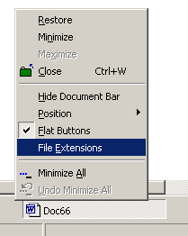 doc_bar_file_ext.png
