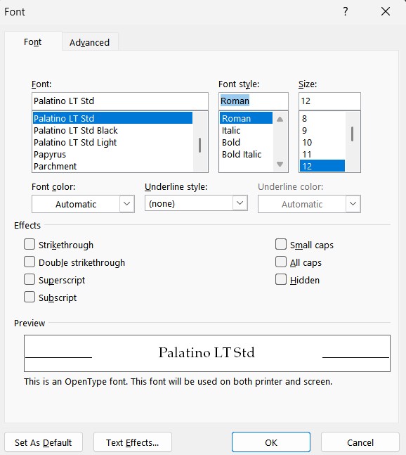 MS Word.jpg