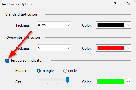 Enabling the text cursor indicators