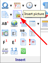 The 'Insert picture' button