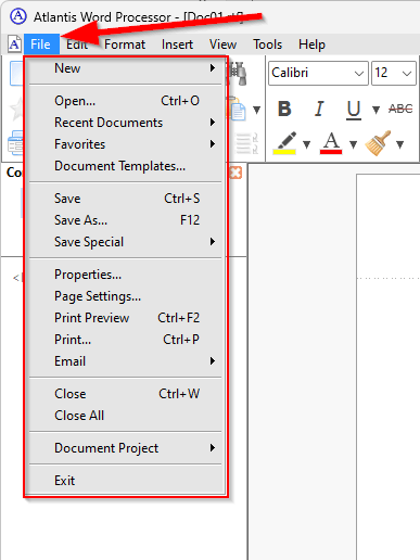 The 'File' menu