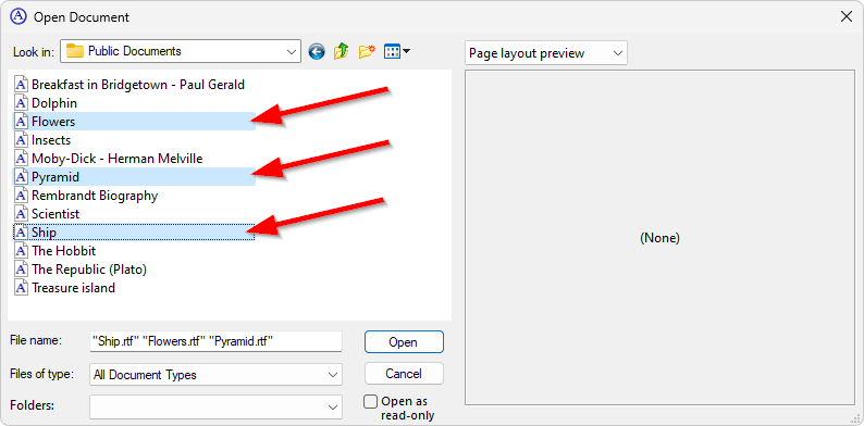 Opening multiple documents