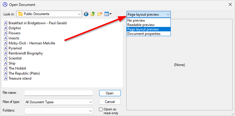 Customizing the previews