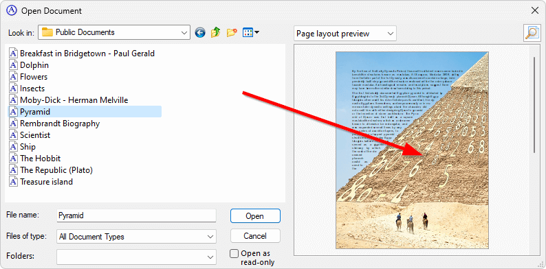 Opening the full-screen preview