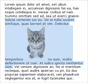 Selection containing text and an inline picture