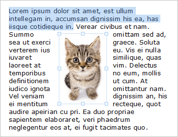 Selection containing text and a floating picture