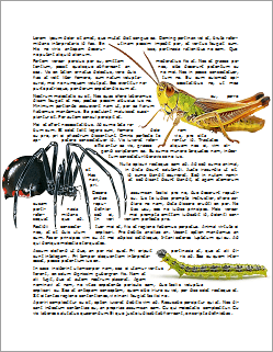 The 'Insects' sample document