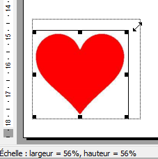 Dimensions de l'image